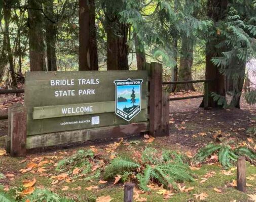 Bridal Trails neighborhood parks